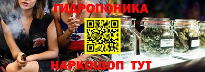 шишки Ливны