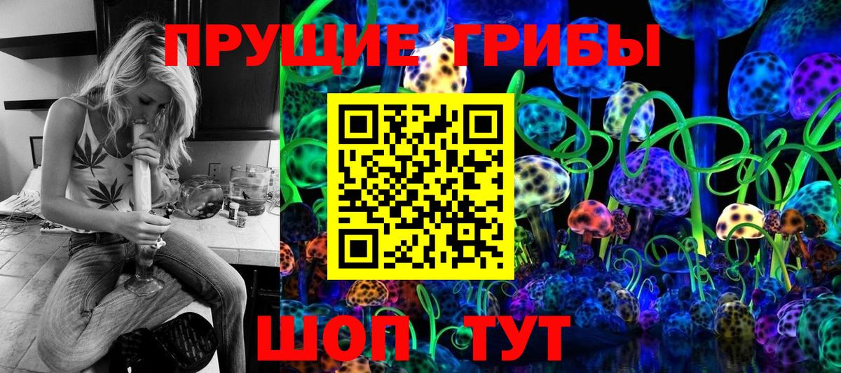 Псилоцибиновые грибы Psilocybine cubensis Гурьевск
