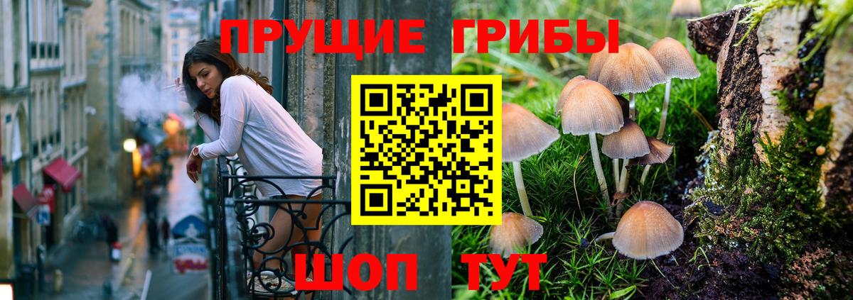 Псилоцибиновые грибы MAGIC MUSHROOMS  Галлюциногенные грибы MAGIC MUSHROOMS  Вход с VPN  Гурьевск 